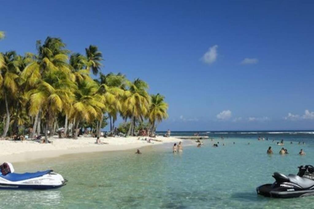 Gite Cajou Dans Jardin Tropical Ventile A Sainte-Anne Екстер'єр фото