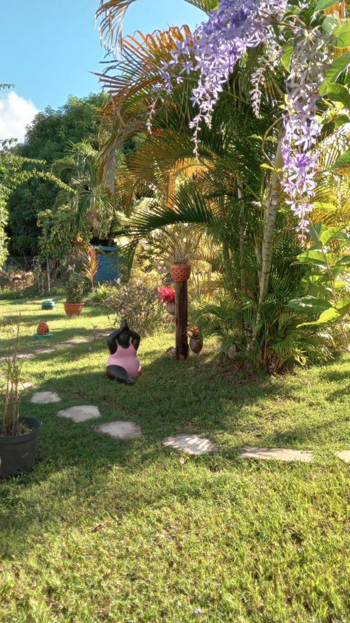 Gite Cajou Dans Jardin Tropical Ventile A Sainte-Anne Екстер'єр фото